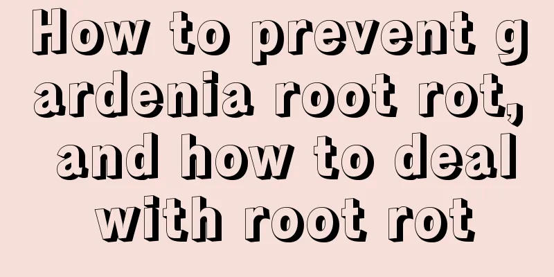 How to prevent gardenia root rot, and how to deal with root rot