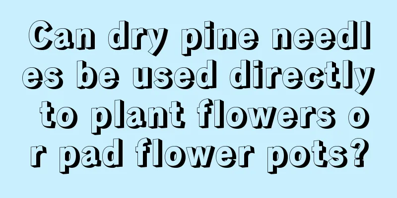 Can dry pine needles be used directly to plant flowers or pad flower pots?