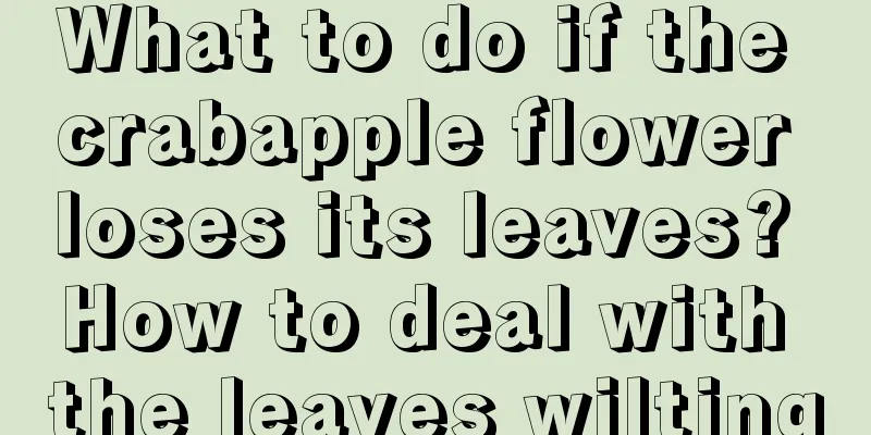 What to do if the crabapple flower loses its leaves? How to deal with the leaves wilting