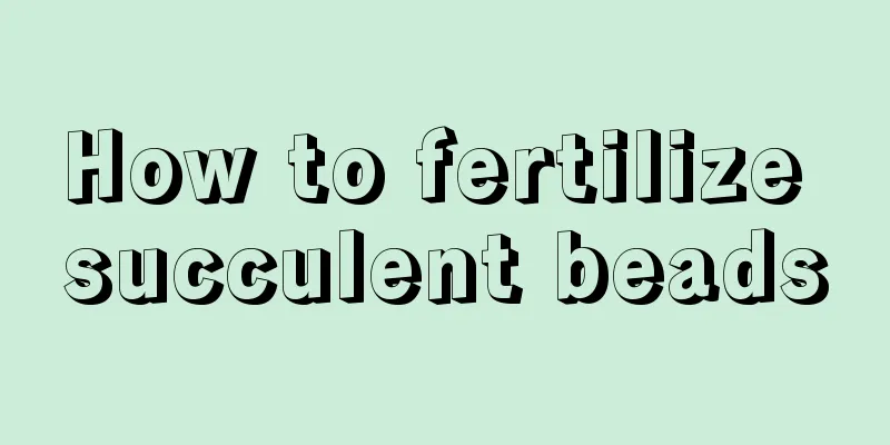 How to fertilize succulent beads