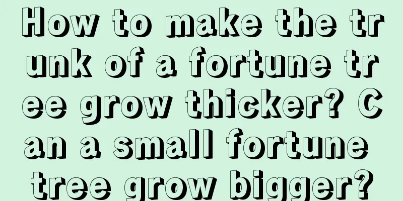 How to make the trunk of a fortune tree grow thicker? Can a small fortune tree grow bigger?