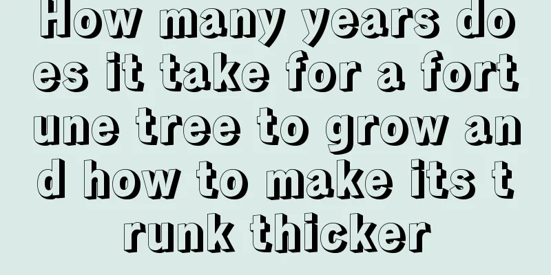 How many years does it take for a fortune tree to grow and how to make its trunk thicker