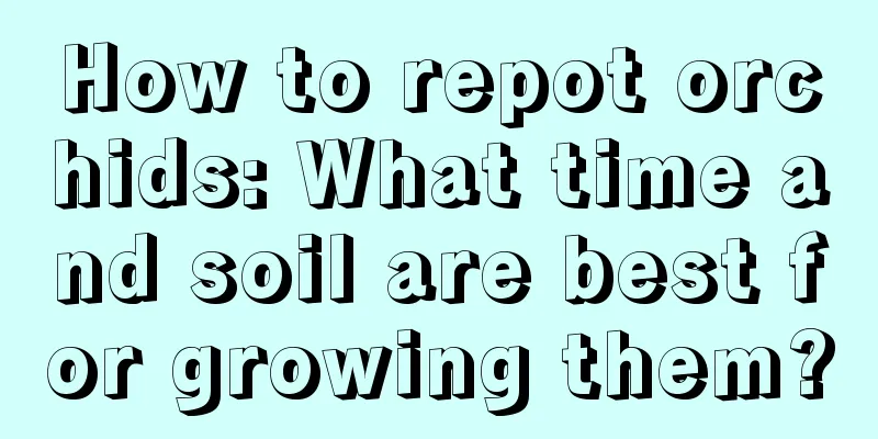 How to repot orchids: What time and soil are best for growing them?