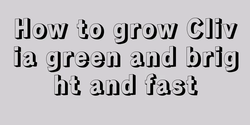 How to grow Clivia green and bright and fast