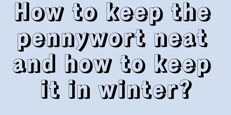 How to keep the pennywort neat and how to keep it in winter?