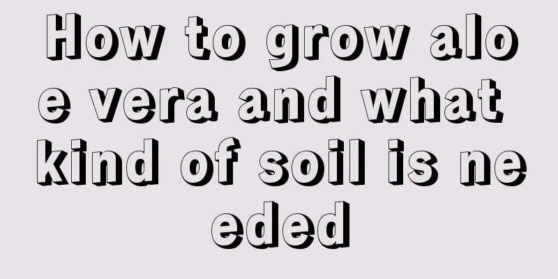 How to grow aloe vera and what kind of soil is needed