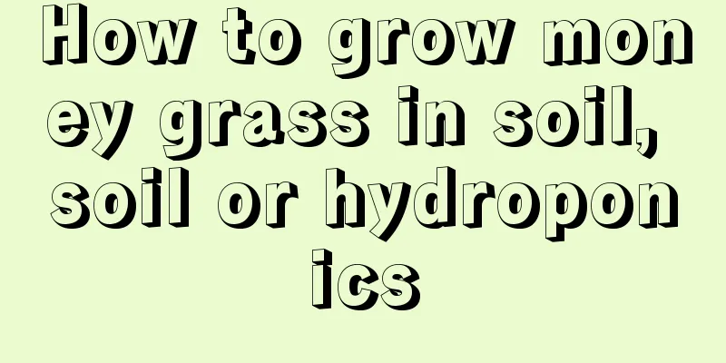 How to grow money grass in soil, soil or hydroponics