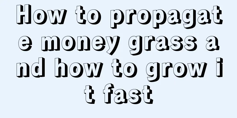 How to propagate money grass and how to grow it fast