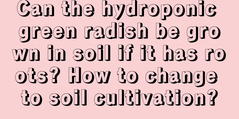 Can the hydroponic green radish be grown in soil if it has roots? How to change to soil cultivation?