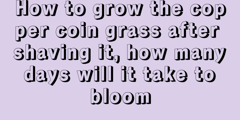 How to grow the copper coin grass after shaving it, how many days will it take to bloom