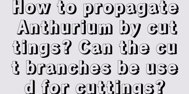 How to propagate Anthurium by cuttings? Can the cut branches be used for cuttings?