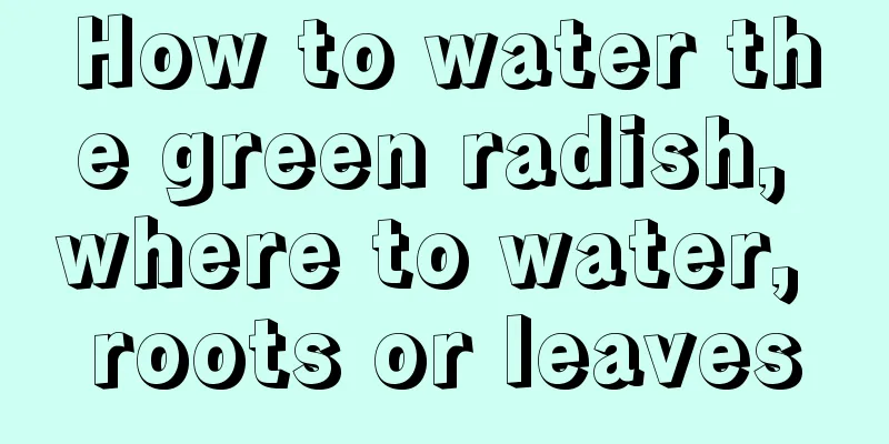 How to water the green radish, where to water, roots or leaves