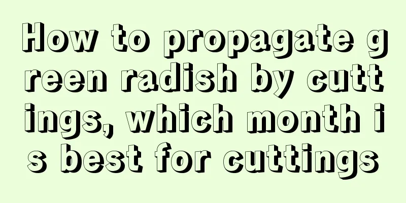 How to propagate green radish by cuttings, which month is best for cuttings