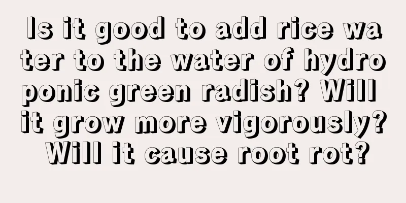 Is it good to add rice water to the water of hydroponic green radish? Will it grow more vigorously? Will it cause root rot?