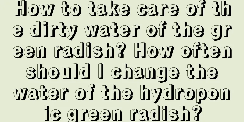 How to take care of the dirty water of the green radish? How often should I change the water of the hydroponic green radish?