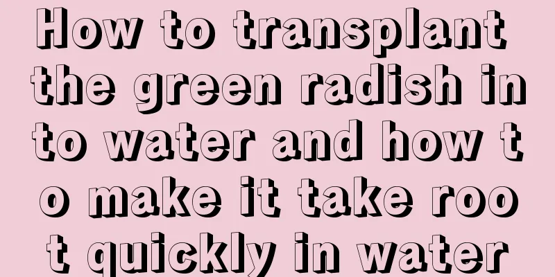 How to transplant the green radish into water and how to make it take root quickly in water