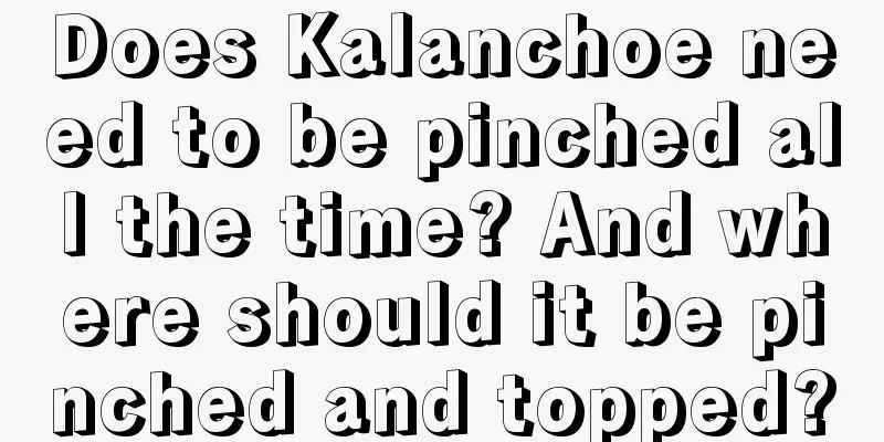 Does Kalanchoe need to be pinched all the time? And where should it be pinched and topped?