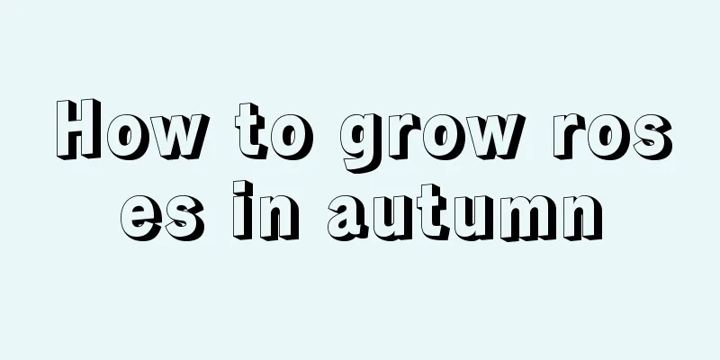 How to grow roses in autumn