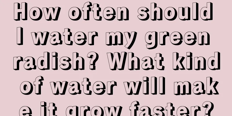 How often should I water my green radish? What kind of water will make it grow faster?