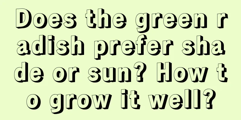 Does the green radish prefer shade or sun? How to grow it well?