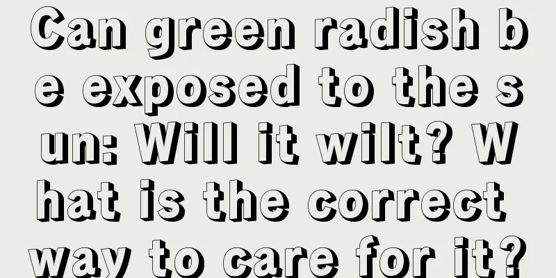 Can green radish be exposed to the sun: Will it wilt? What is the correct way to care for it?