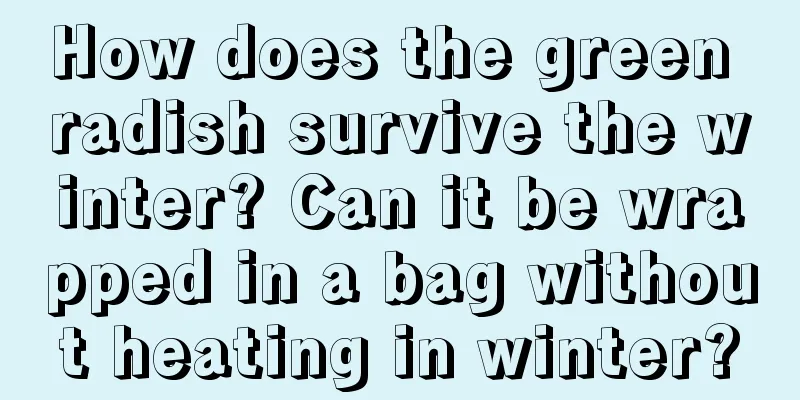 How does the green radish survive the winter? Can it be wrapped in a bag without heating in winter?