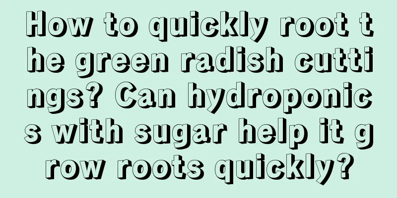 How to quickly root the green radish cuttings? Can hydroponics with sugar help it grow roots quickly?