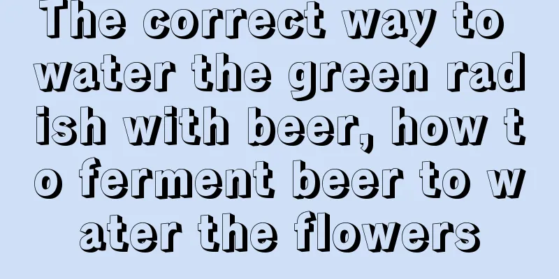 The correct way to water the green radish with beer, how to ferment beer to water the flowers