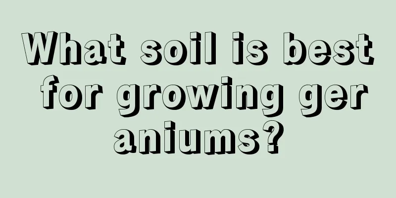 What soil is best for growing geraniums?