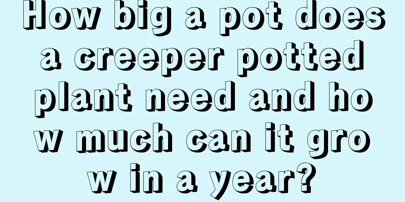 How big a pot does a creeper potted plant need and how much can it grow in a year?