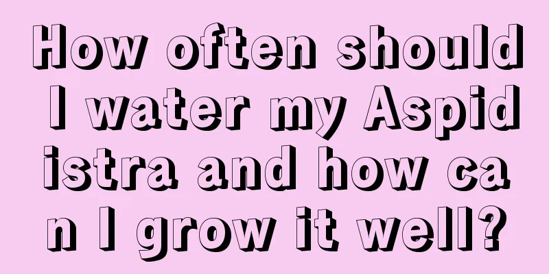 How often should I water my Aspidistra and how can I grow it well?