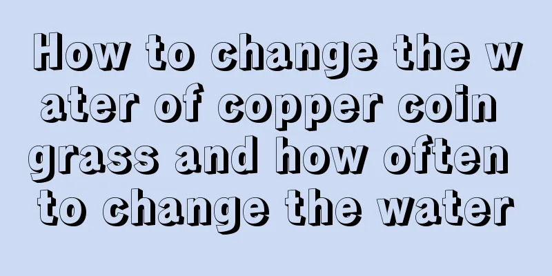 How to change the water of copper coin grass and how often to change the water