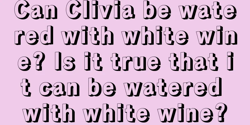 Can Clivia be watered with white wine? Is it true that it can be watered with white wine?