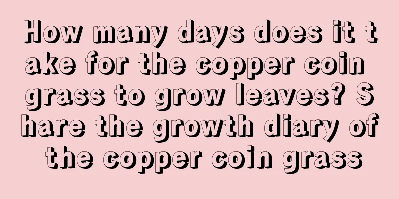 How many days does it take for the copper coin grass to grow leaves? Share the growth diary of the copper coin grass