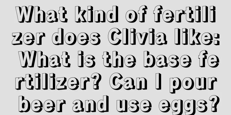 What kind of fertilizer does Clivia like: What is the base fertilizer? Can I pour beer and use eggs?