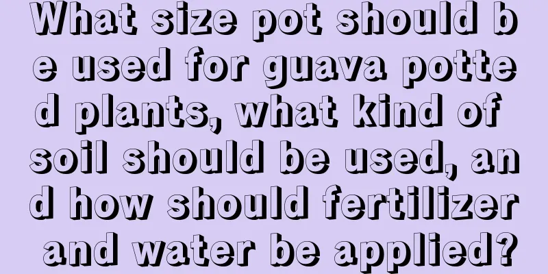 What size pot should be used for guava potted plants, what kind of soil should be used, and how should fertilizer and water be applied?