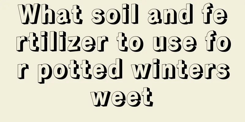 What soil and fertilizer to use for potted wintersweet