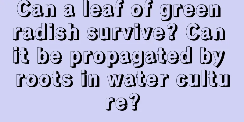 Can a leaf of green radish survive? Can it be propagated by roots in water culture?