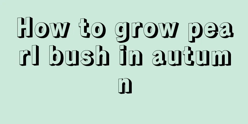 How to grow pearl bush in autumn