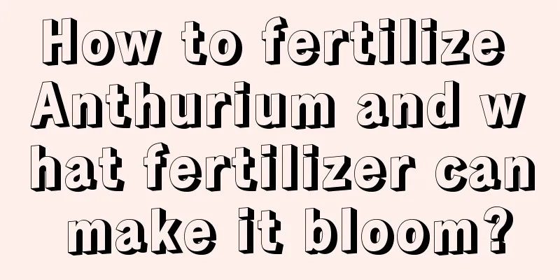 How to fertilize Anthurium and what fertilizer can make it bloom?