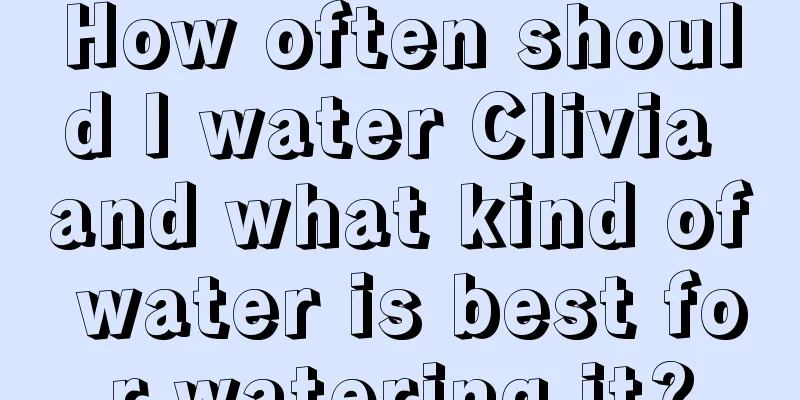 How often should I water Clivia and what kind of water is best for watering it?