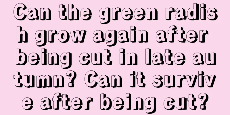 Can the green radish grow again after being cut in late autumn? Can it survive after being cut?