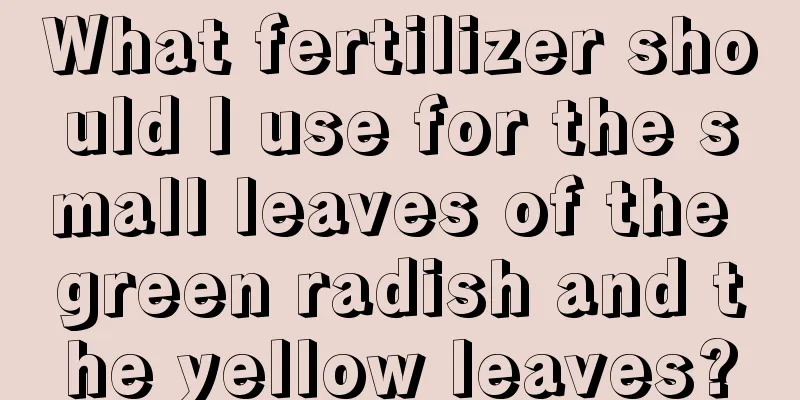 What fertilizer should I use for the small leaves of the green radish and the yellow leaves?