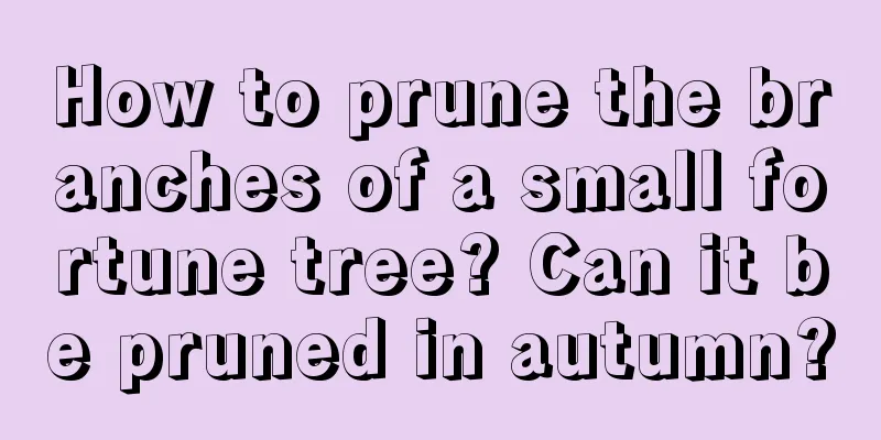 How to prune the branches of a small fortune tree? Can it be pruned in autumn?