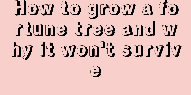 How to grow a fortune tree and why it won't survive