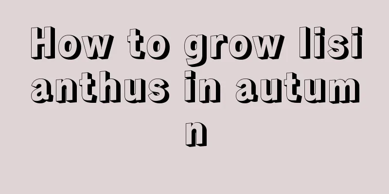 How to grow lisianthus in autumn