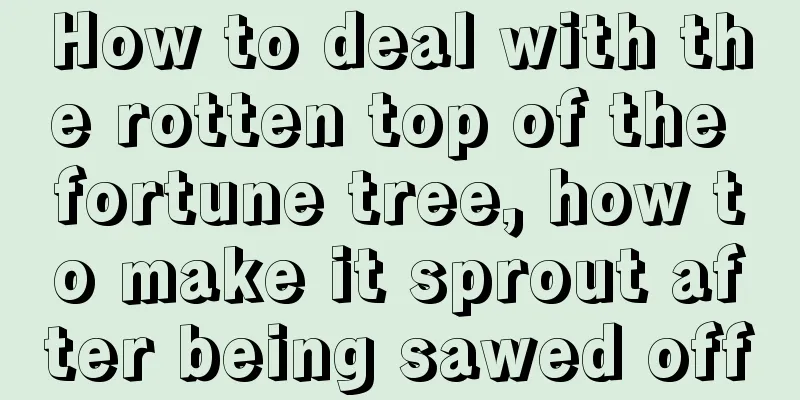 How to deal with the rotten top of the fortune tree, how to make it sprout after being sawed off