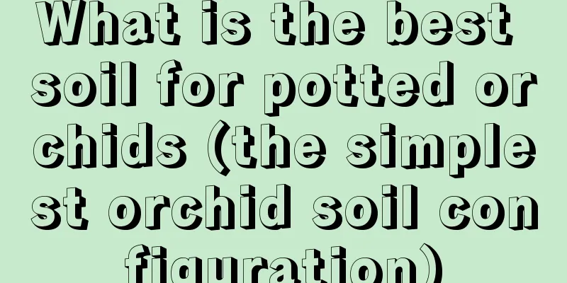 What is the best soil for potted orchids (the simplest orchid soil configuration)