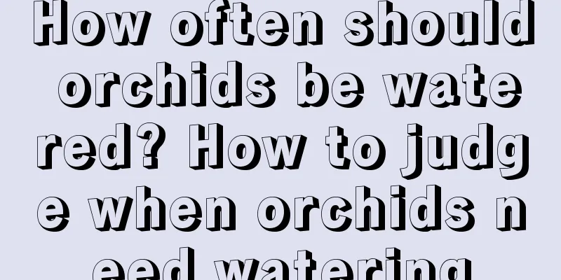 How often should orchids be watered? How to judge when orchids need watering