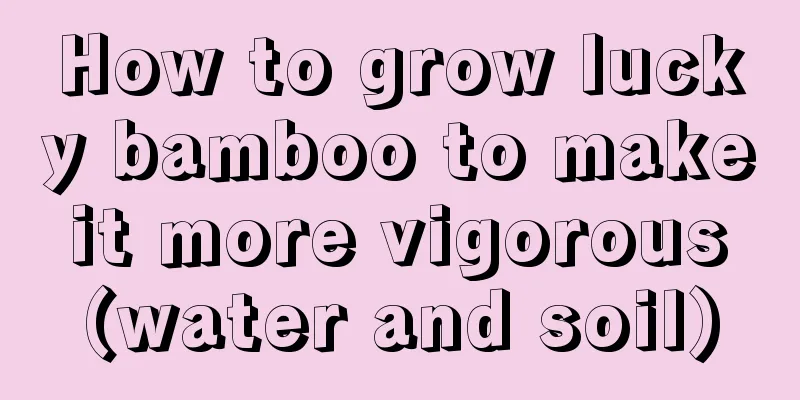 How to grow lucky bamboo to make it more vigorous (water and soil)